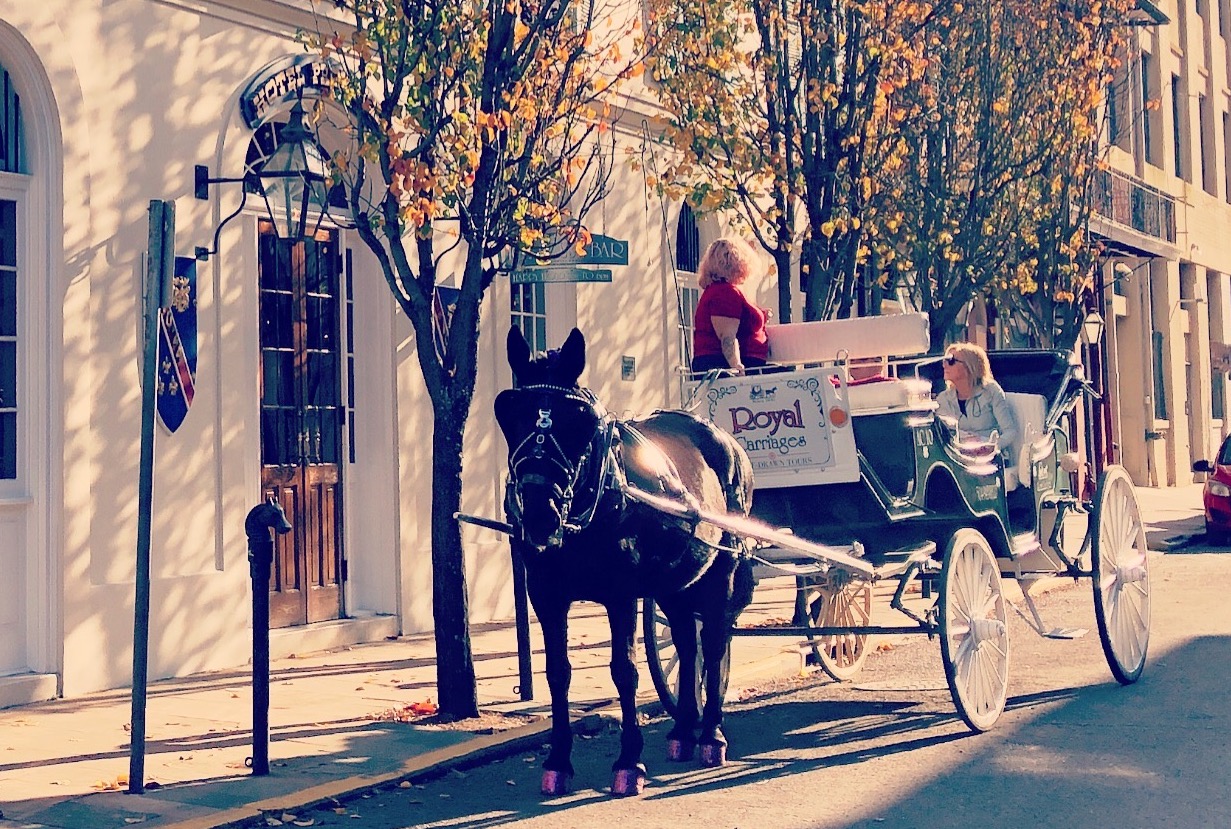 Hotel Provincial with carriage in front
