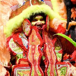 Mardi Gras Indians: 2013 Super Sunday