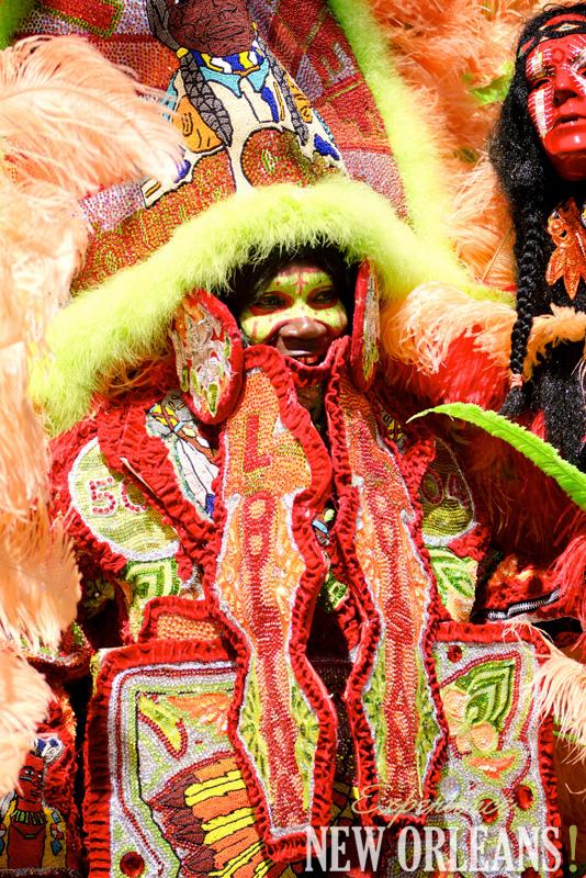 Mardi Gras Indian