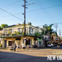 Free, cheap things to do outside the French Quarter