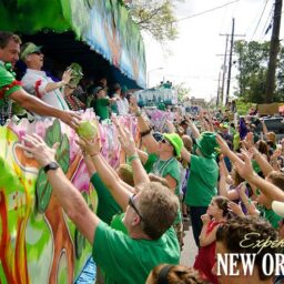 St. Patrick’s Day 2013