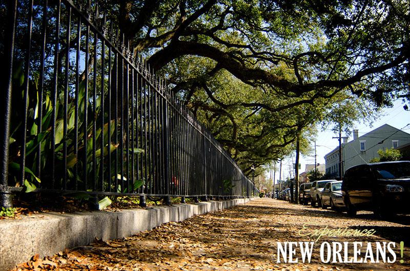 New Orleans After The Super Bowl