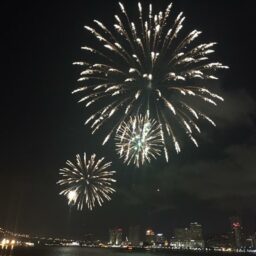 Go 4th on the River New Orleans Fireworks Display was Amazing!